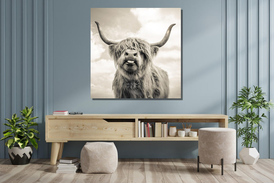 Highland Cow Sepia