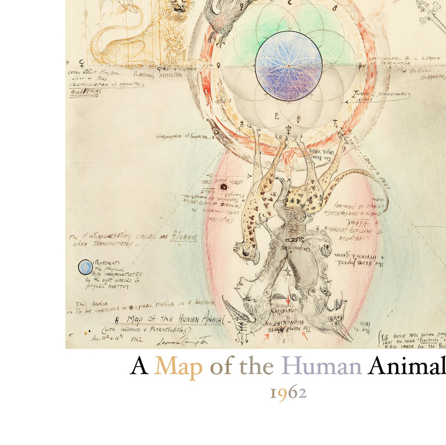 Leonora Carrington Mapa De Animal Humano