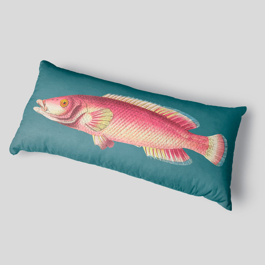 Vintage Fish Teal