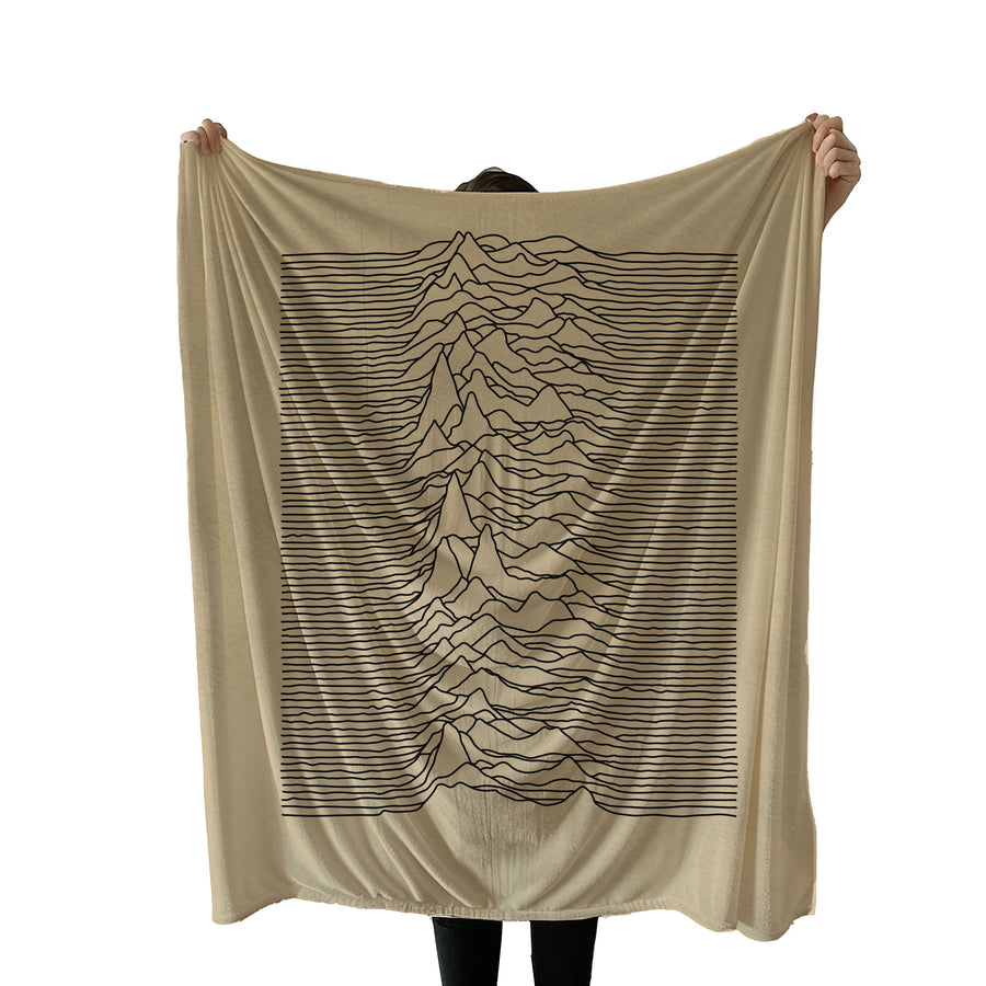 Joy Division Unknown Pleasures