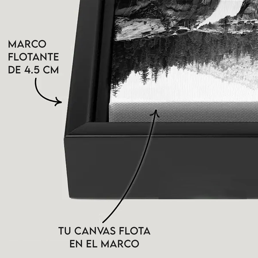 marco flotante para fotos de tu cuadro personalizado