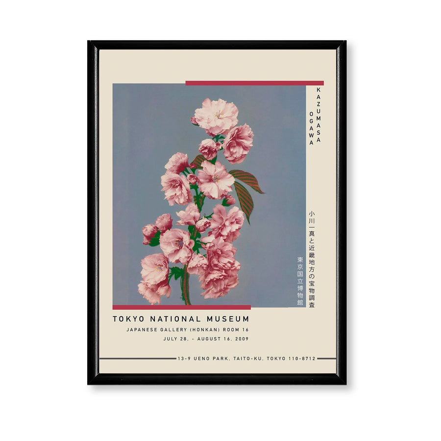 Cherry Blossom Exhibition Poster, Ogawa Kazumasa