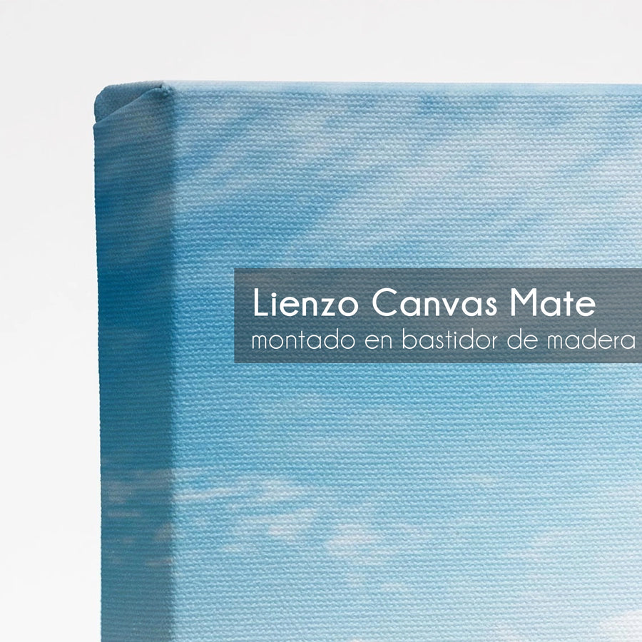 lienzo canvas 100% algodon