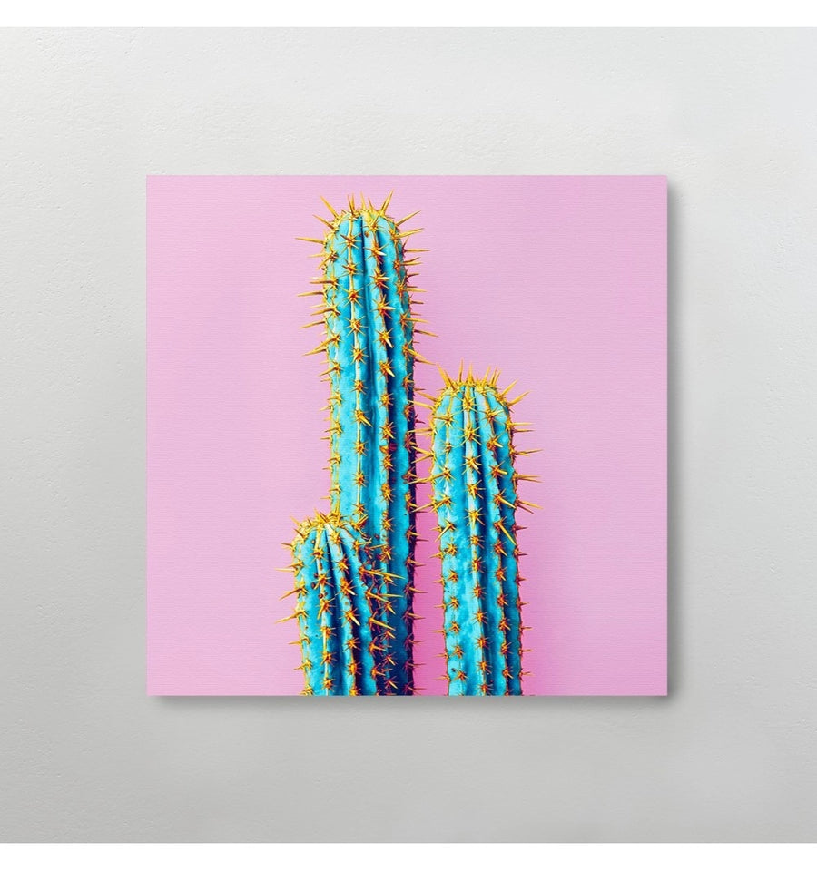 Cactus Pop