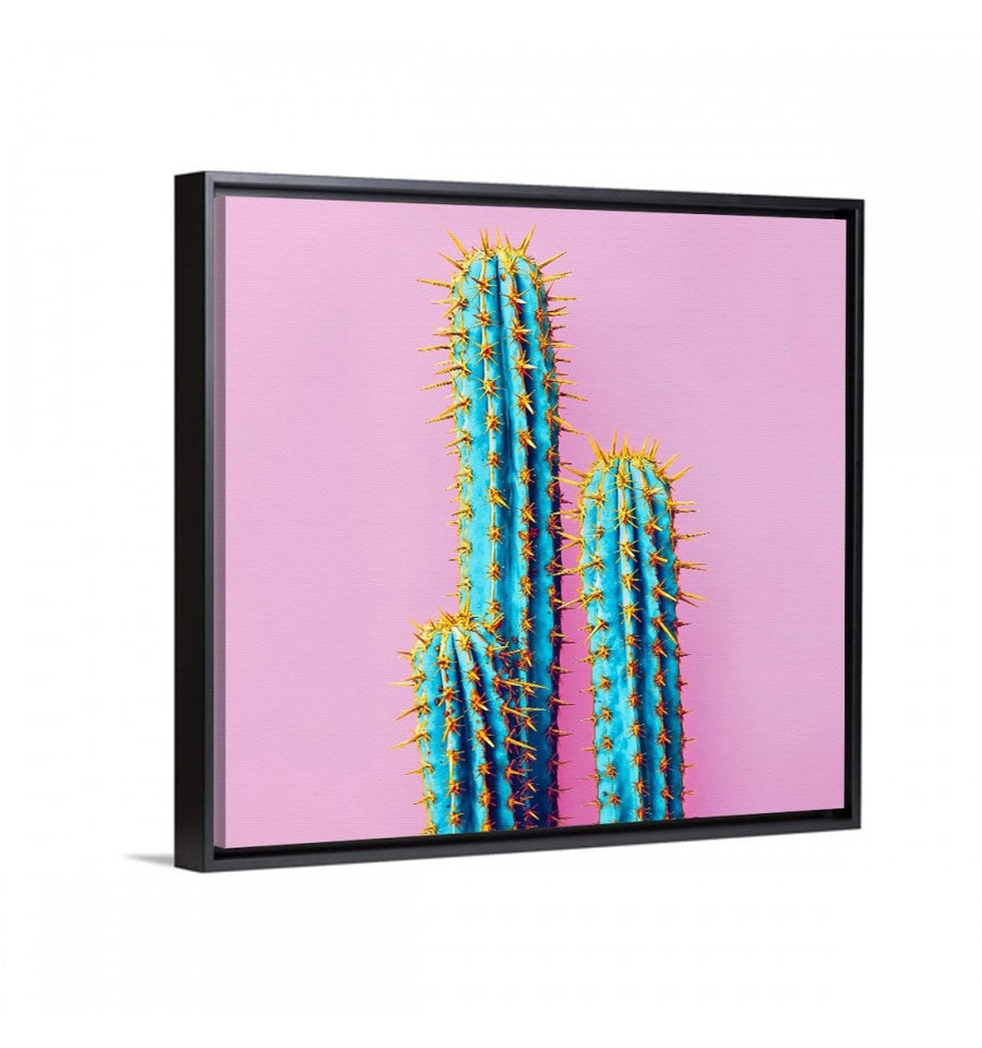 Cactus Pop