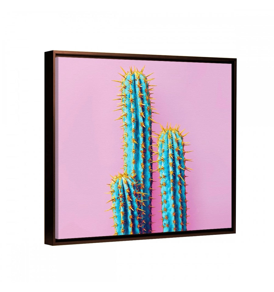 Cactus Pop