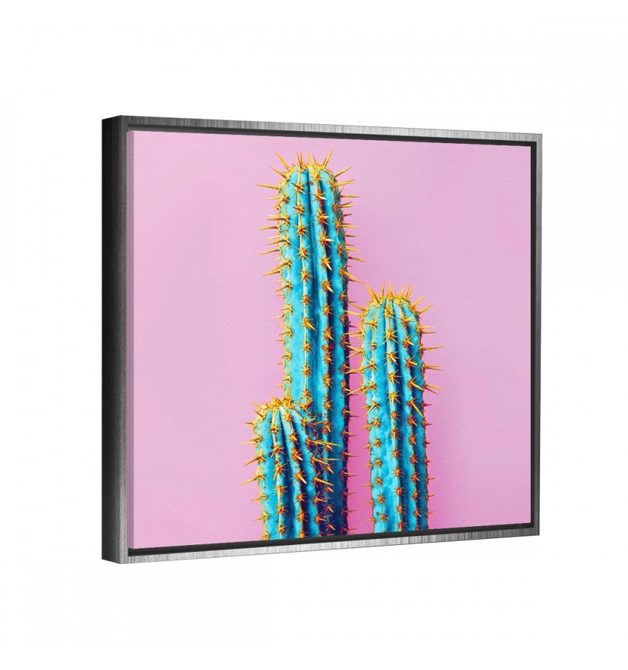 Cactus Pop