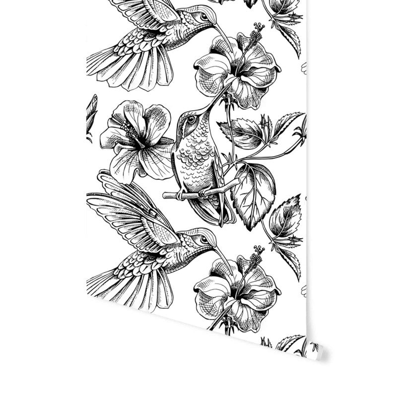 Colibríes y Flores Sketch