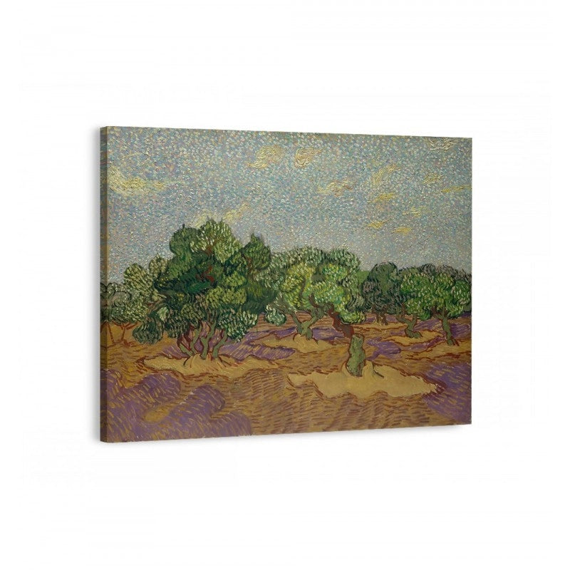 Cuadro olivos de van gogh arte famoso