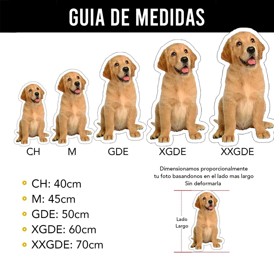 cojín de mascota en diferentes medidas