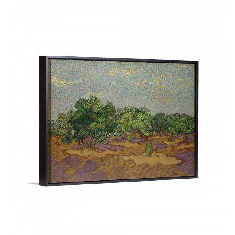 Cuadro olivos de van gogh enmarcado con marco flotante negro