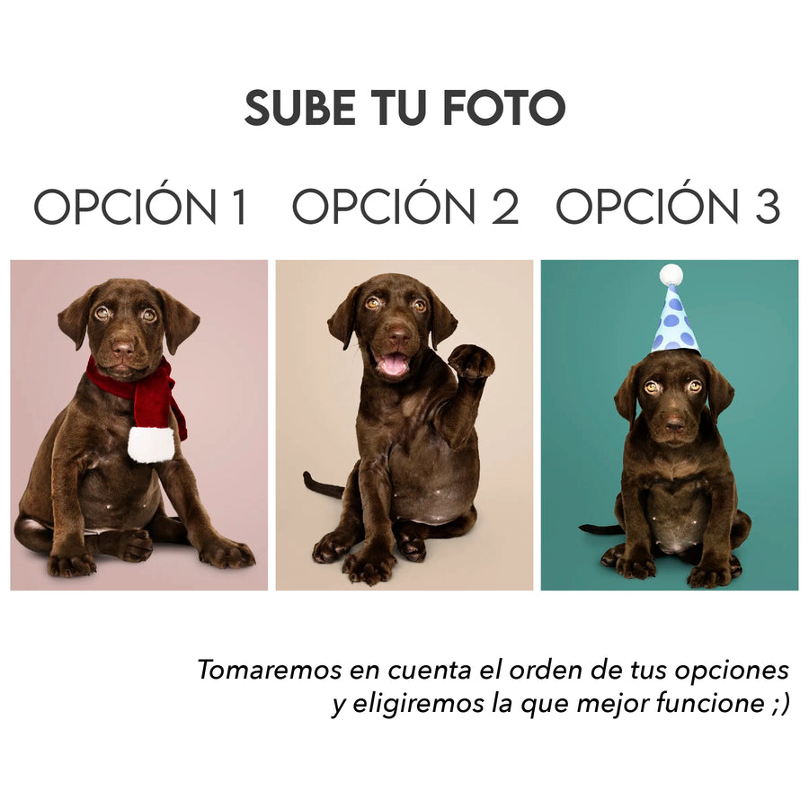 cojín de mascota con fotos sube hasta 3 fotos