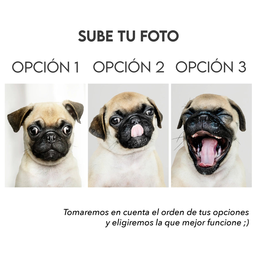 Cojín Foto Mascota Silueta Cabeza personalizado