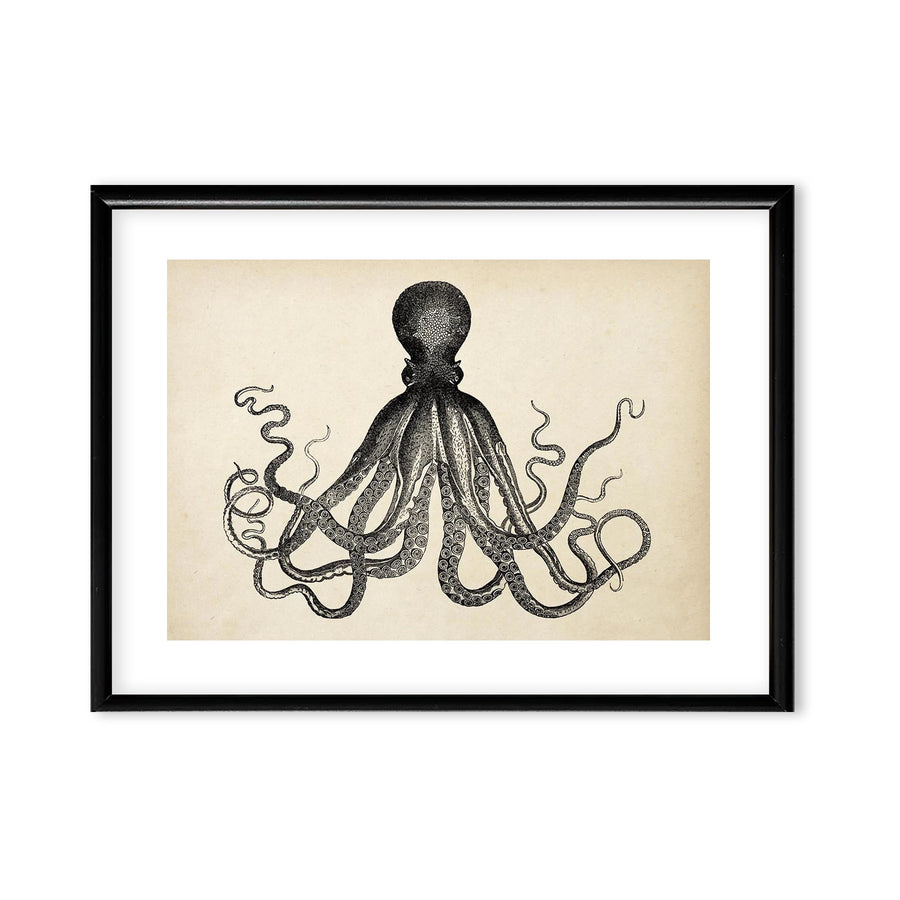 Cuadro de Pulpo Vintage decorativo