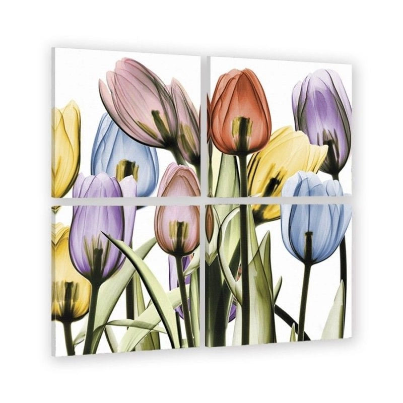 Tulips Set