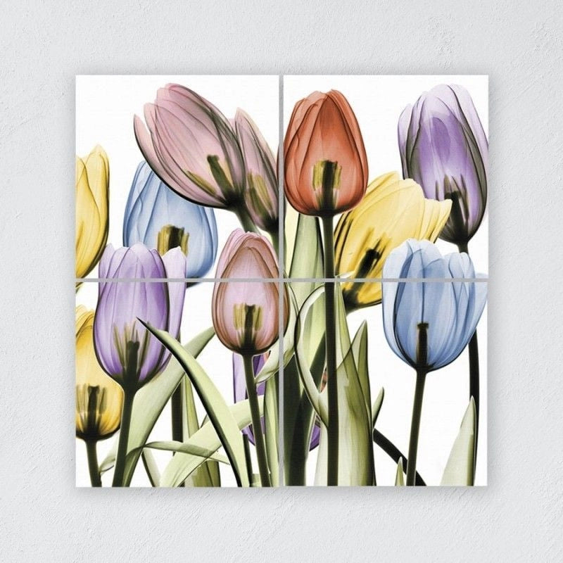 Tulips Set