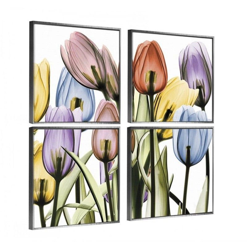 Tulips Set